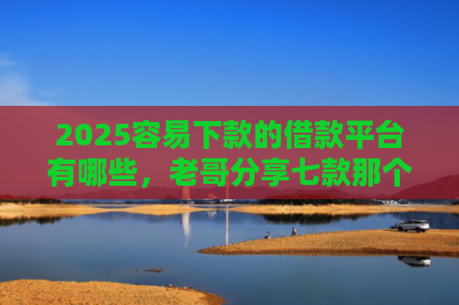 2025容易下款的借款平台有哪些，老哥分享七款那个网贷口子容易下款