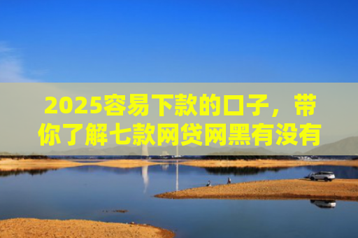 2025容易下款的口子，带你了解七款网贷网黑有没有下款口子
