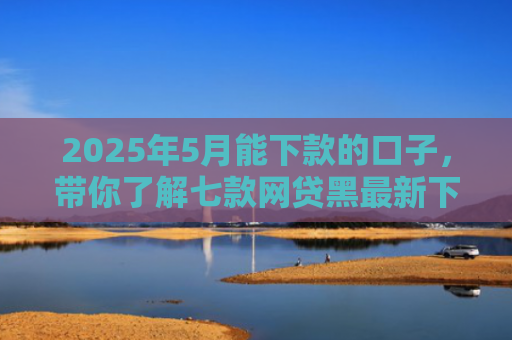 2025年5月能下款的口子，带你了解七款网贷黑最新下款口子