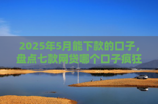 2025年5月能下款的口子，盘点七款网贷哪个口子疯狂下款