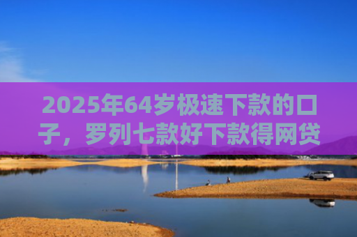 2025年64岁极速下款的口子，罗列七款好下款得网贷口子
