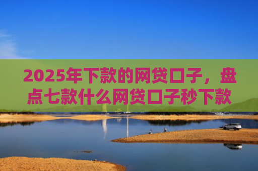 2025年下款的网贷口子，盘点七款什么网贷口子秒下款