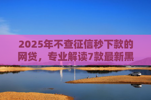 2025年不查征信秒下款的网贷，专业解读7款最新黑户网贷下款口子