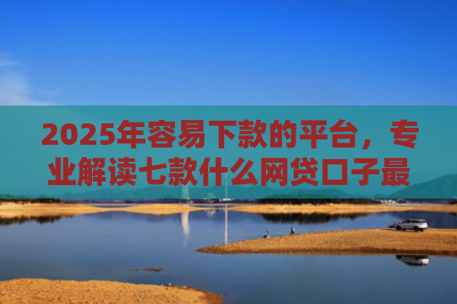 2025年容易下款的平台，专业解读七款什么网贷口子最好下款