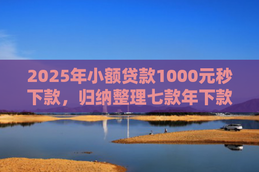 2025年小额贷款1000元秒下款，归纳整理七款年下款的网贷口子
