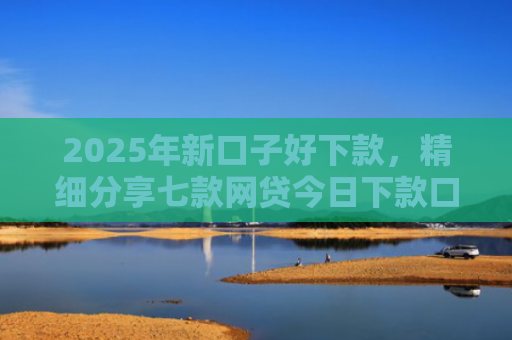 2025年新口子好下款，精细分享七款网贷今日下款口子