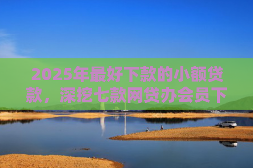 2025年最好下款的小额贷款，深挖七款网贷办会员下款口子