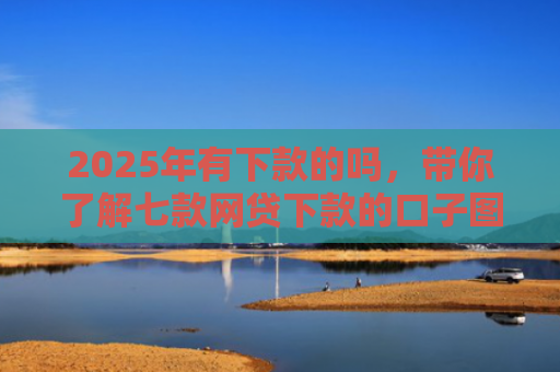 2025年有下款的吗，带你了解七款网贷下款的口子图片
