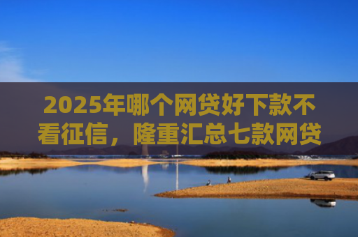 2025年哪个网贷好下款不看征信，隆重汇总七款网贷夜间下款的口子