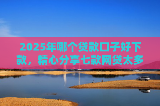 2025年哪个贷款口子好下款，精心分享七款网贷太多易下款口子