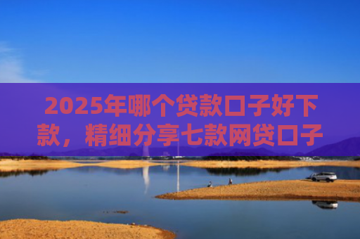 2025年哪个贷款口子好下款，精细分享七款网贷口子直接下款