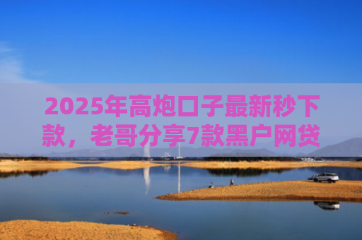 2025年高炮口子最新秒下款，老哥分享7款黑户网贷下款的口子