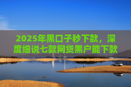 2025年黑口子秒下款，深度细说七款网贷黑户能下款口子