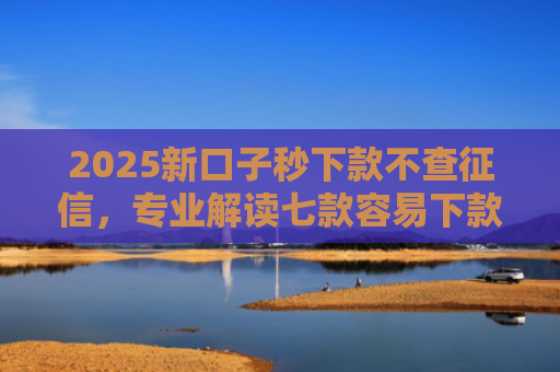 2025新口子秒下款不查征信，专业解读七款容易下款的大额网贷口子