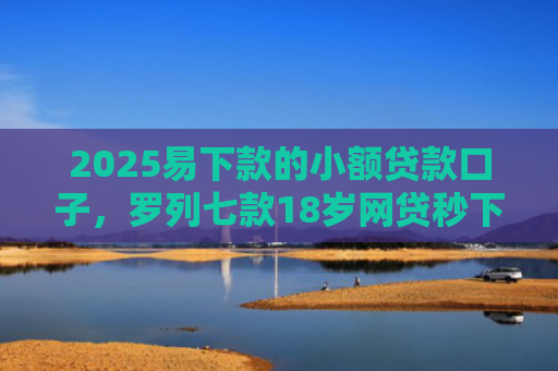 2025易下款的小额贷款口子，罗列七款18岁网贷秒下款口子