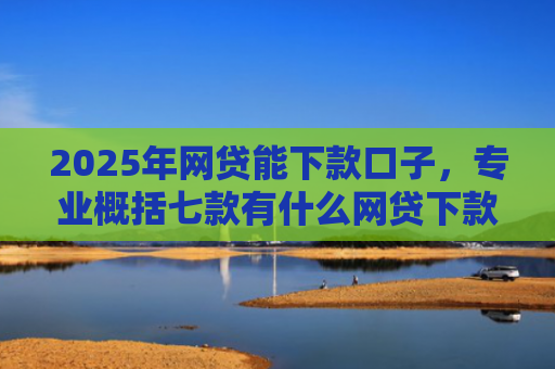 2025年网贷能下款口子，专业概括七款有什么网贷下款口子