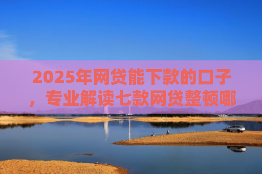 2025年网贷能下款的口子，专业解读七款网贷整顿哪些口子下款