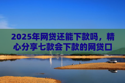 2025年网贷还能下款吗，精心分享七款会下款的网贷口子