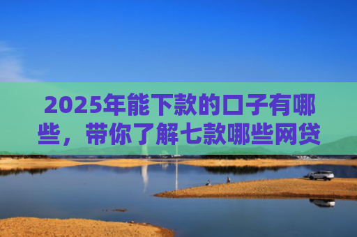 2025年能下款的口子有哪些，带你了解七款哪些网贷口子必下款