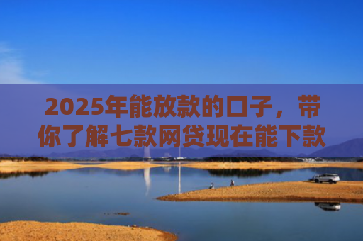 2025年能放款的口子，带你了解七款网贷现在能下款口子