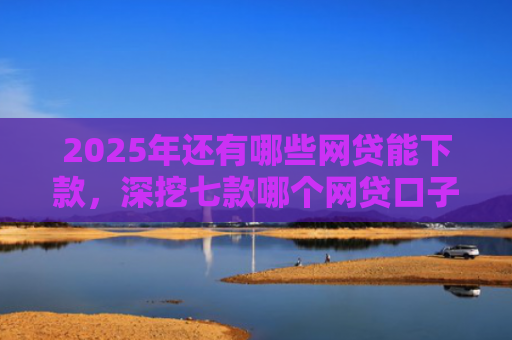 2025年还有哪些网贷能下款，深挖七款哪个网贷口子下款最快