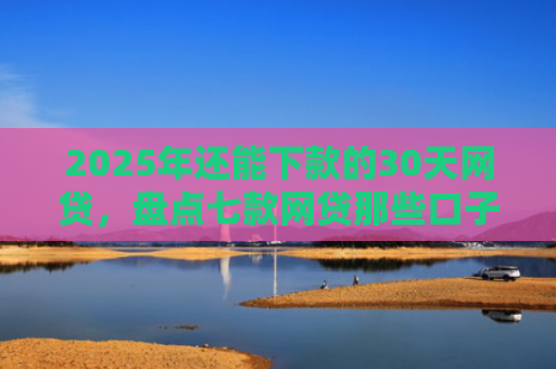 2025年还能下款的30天网贷，盘点七款网贷那些口子下款快