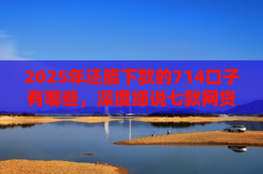 2025年还能下款的714口子有哪些，深度细说七款网贷黑户苹果下款口子