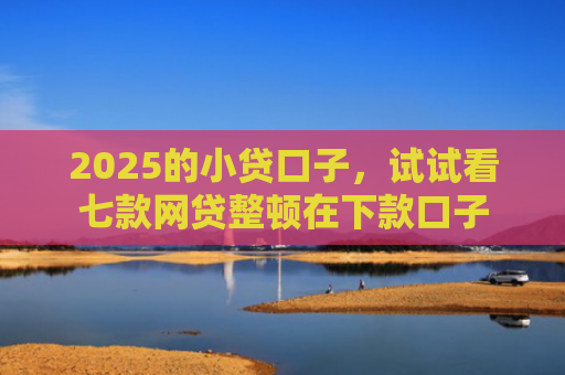 2025的小贷口子，试试看七款网贷整顿在下款口子