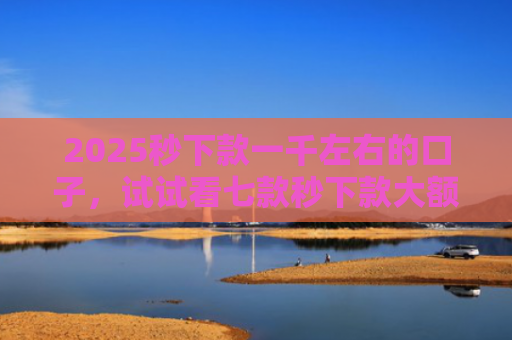 2025秒下款一千左右的口子，试试看七款秒下款大额网贷口子