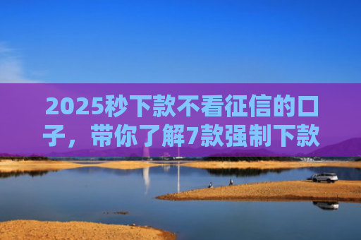 2025秒下款不看征信的口子，带你了解7款强制下款的网贷口子