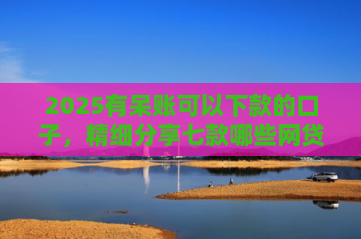 2025有呆账可以下款的口子，精细分享七款哪些网贷口子好下款的