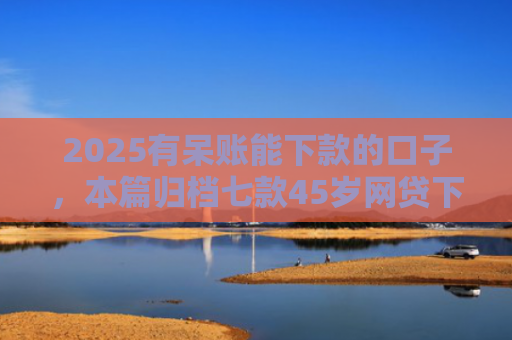2025有呆账能下款的口子，本篇归档七款45岁网贷下款的口子