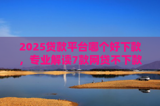 2025贷款平台哪个好下款，专业解读7款网贷不下款贷一万的口子