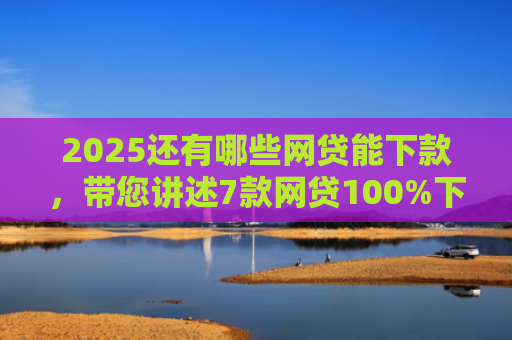 2025还有哪些网贷能下款，带您讲述7款网贷100%下款的口子