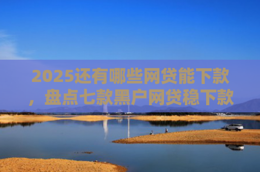 2025还有哪些网贷能下款，盘点七款黑户网贷稳下款口子