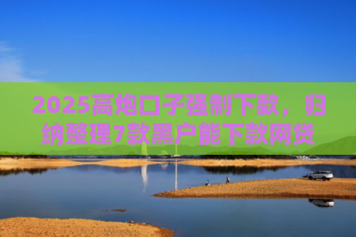 2025高炮口子强制下款，归纳整理7款黑户能下款网贷口子