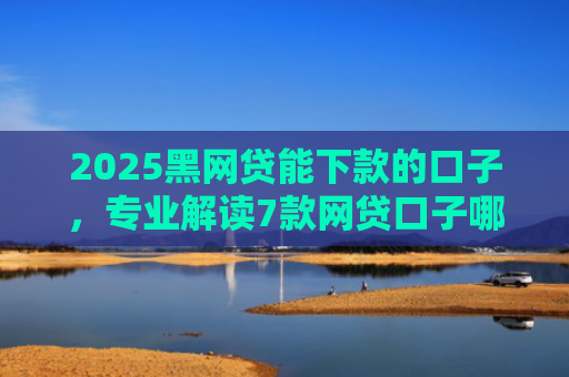2025黑网贷能下款的口子，专业解读7款网贷口子哪些好下款