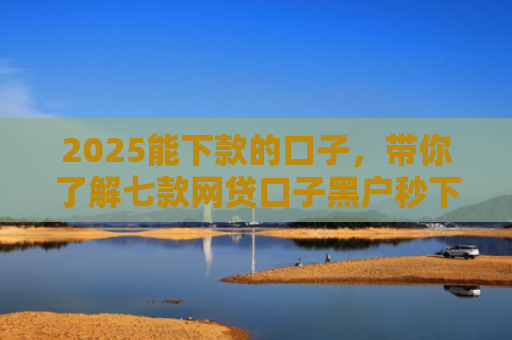 2025能下款的口子，带你了解七款网贷口子黑户秒下款