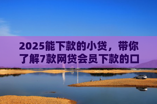2025能下款的小贷，带你了解7款网贷会员下款的口子
