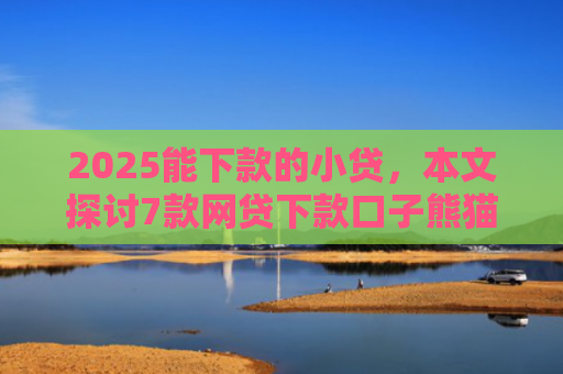 2025能下款的小贷，本文探讨7款网贷下款口子熊猫应急