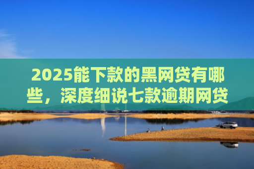 2025能下款的黑网贷有哪些，深度细说七款逾期网贷下款贷款口子