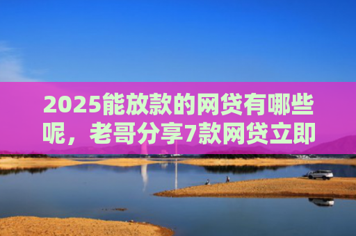 2025能放款的网贷有哪些呢，老哥分享7款网贷立即下款的口子