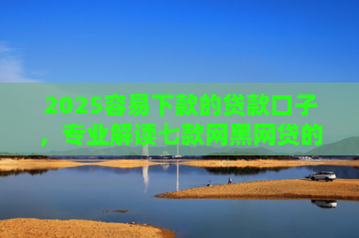 2025容易下款的贷款口子，专业解读七款网黑网贷的下款口子