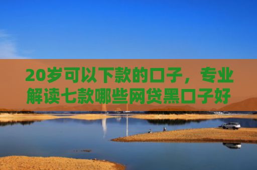 20岁可以下款的口子，专业解读七款哪些网贷黑口子好下款