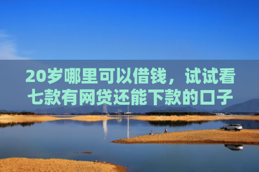20岁哪里可以借钱，试试看七款有网贷还能下款的口子