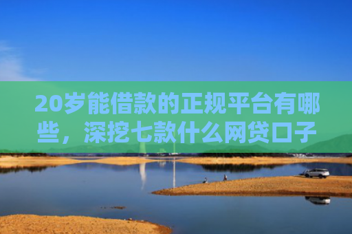 20岁能借款的正规平台有哪些，深挖七款什么网贷口子好下款的