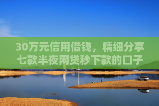 30万元信用借钱，精细分享七款半夜网贷秒下款的口子