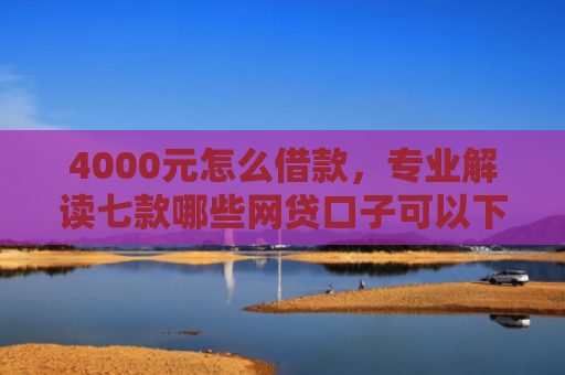 4000元怎么借款，专业解读七款哪些网贷口子可以下款