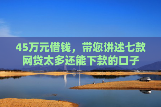 45万元借钱，带您讲述七款网贷太多还能下款的口子