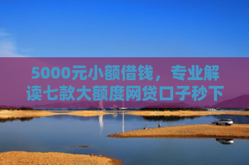5000元小额借钱，专业解读七款大额度网贷口子秒下款
